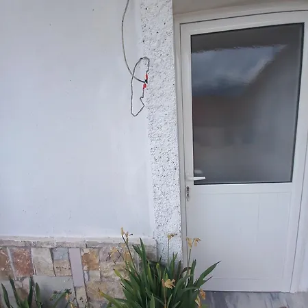 Aleko * Gjirokastër