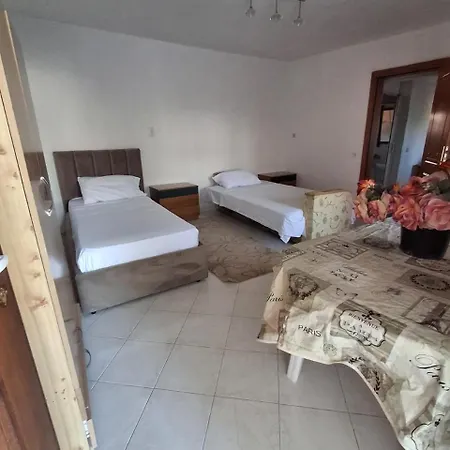 Aleko * Gjirokastër