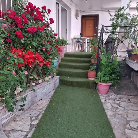 Aleko بيت ضيافة